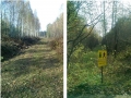bieg-jpg1