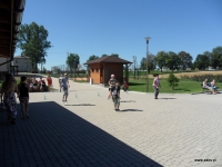 sam_6185