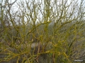 sam_0436