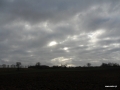 sam_0442
