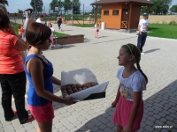sam_9528